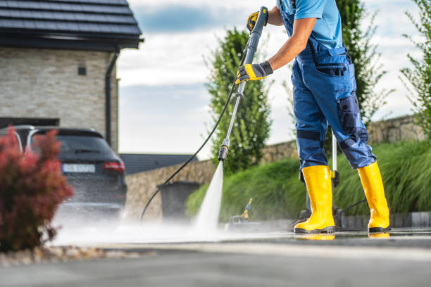 Best Driveway Pressure Washing  in Tolono, IL